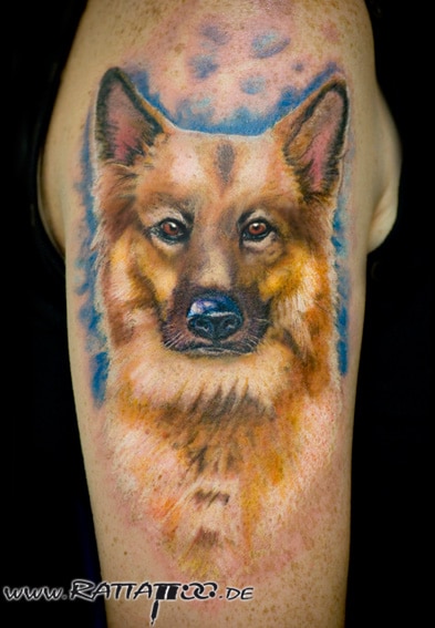 Realistisches Schäferhunde Portrait Tattoo in Farbe auf dem Oberarm aus dem Rattattoo Tattoostudio in Freiburg.