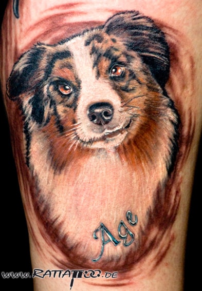 Realistisches Hunde Portrait Tattoo in Farbe auf der Wade aus dem Rattattoo Tattoostudio in Freiburg.