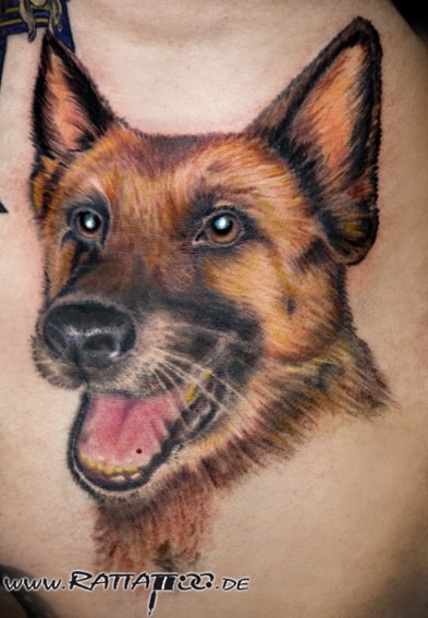 Realistisches Schäfer Hund Portrait Tattoo auf den Rippen in Farbe aus dem Rattattoo Tattoostudio in Freiburg.