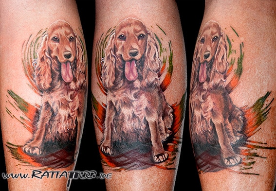 Realistisches Cocker Spaniel Portrait Tattoo in Farbe. Hunde Portrait auf der Wade aus dem Rattattoo Tattoostudio in Freiburg.