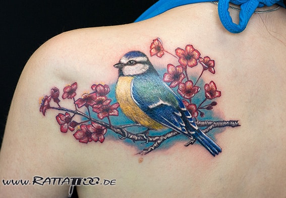 #Meise #tomtit #tattoo #cherry #blossom #tattoos #bird #tatts #shouldertattoo #colortattoo #colorful #inked #blue #and #pink #ink #realistictattoo #springtattoo #custom #design #tattooart #tatooartist #rattattoo #rattattoofreiburg  #tattoofreiburg #tattoostudiofreiburg